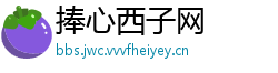 捧心西子网
